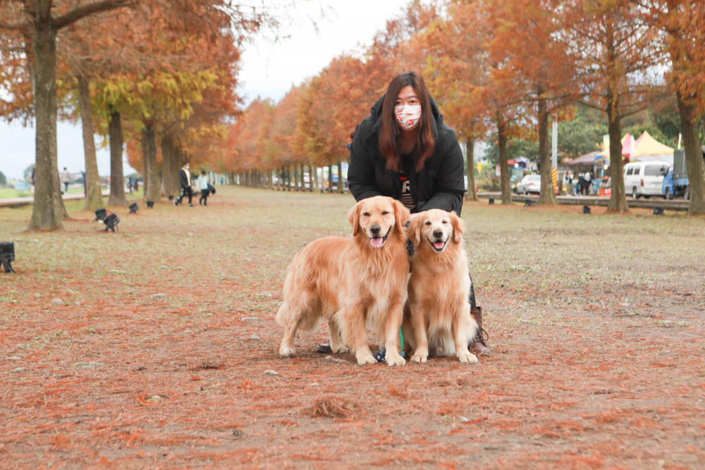 宜蘭三星景點｜安農溪驛站、三星落羽松林秘境、安農溪分洪堰風景區、安農溪泛舟