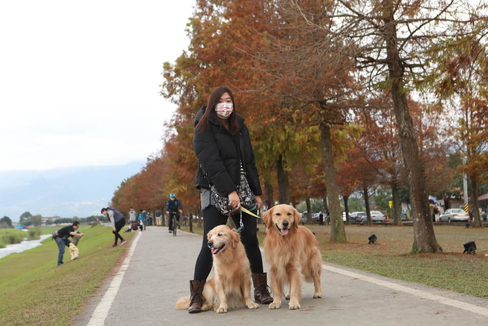 宜蘭三星景點｜安農溪驛站、三星落羽松林秘境、安農溪分洪堰風景區、安農溪泛舟