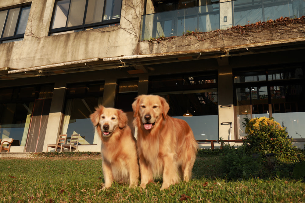 苗栗大湖住宿|上山回家旅宿。寵物友善民宿、矗立山腰的公視實境清水模民宿、一泊二食 - 第52張圖 苗栗大湖住宿|上山回家旅宿。寵物友善民宿、矗立山腰的公視實境清水模民宿、一泊二食