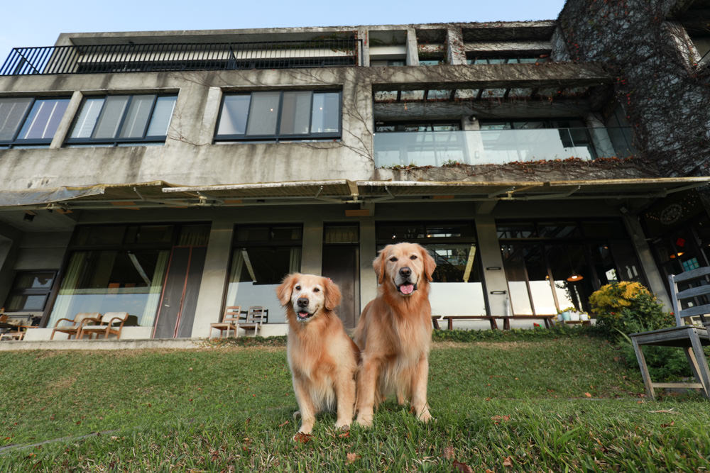 苗栗大湖住宿|上山回家旅宿。寵物友善民宿、矗立山腰的公視實境清水模民宿、一泊二食 - 第3張圖 苗栗大湖住宿|上山回家旅宿。寵物友善民宿、矗立山腰的公視實境清水模民宿、一泊二食