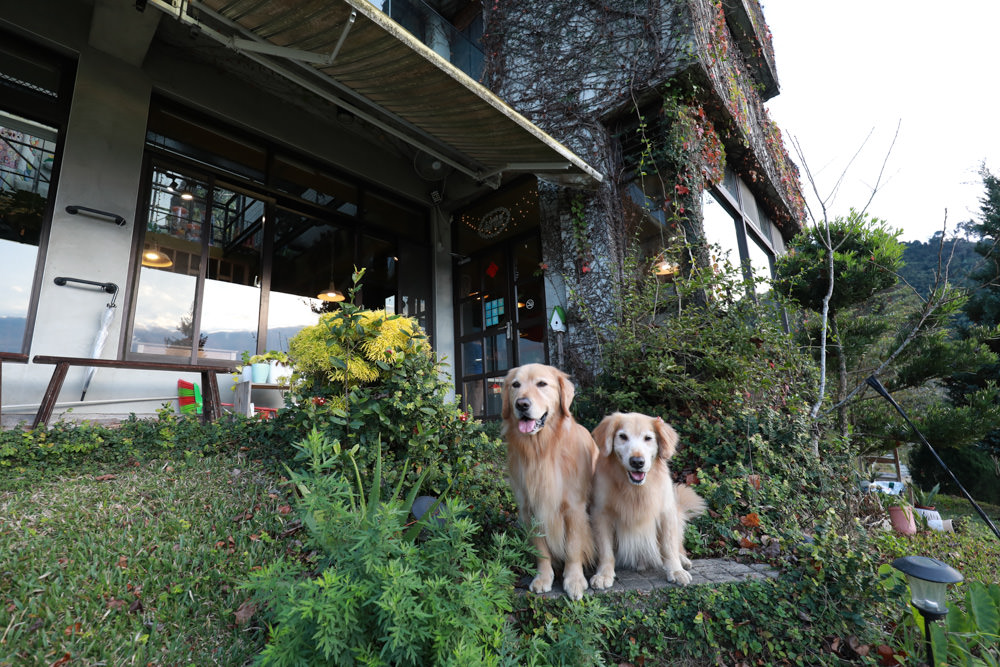 苗栗大湖住宿|上山回家旅宿。寵物友善民宿、矗立山腰的公視實境清水模民宿、一泊二食 - 第5張圖 苗栗大湖住宿|上山回家旅宿。寵物友善民宿、矗立山腰的公視實境清水模民宿、一泊二食