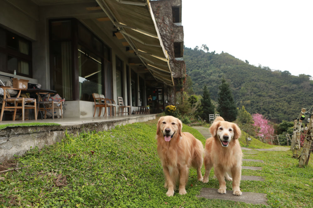 苗栗大湖住宿|上山回家旅宿。寵物友善民宿、矗立山腰的公視實境清水模民宿、一泊二食 - 第2張圖 苗栗大湖住宿|上山回家旅宿。寵物友善民宿、矗立山腰的公視實境清水模民宿、一泊二食