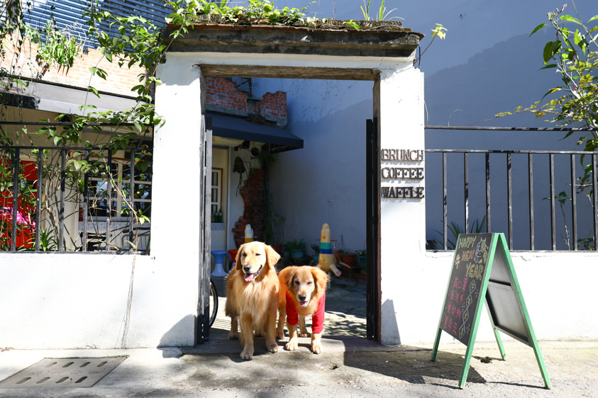 桃園大溪美食|丑咖啡BU-BU caf’e。老宅咖啡廳、寵物友善餐廳、早午餐鬆餅超美味 - 第4張圖 桃園大溪美食|丑咖啡BU-BU caf’e。老宅咖啡廳、寵物友善餐廳、早午餐鬆餅超美味