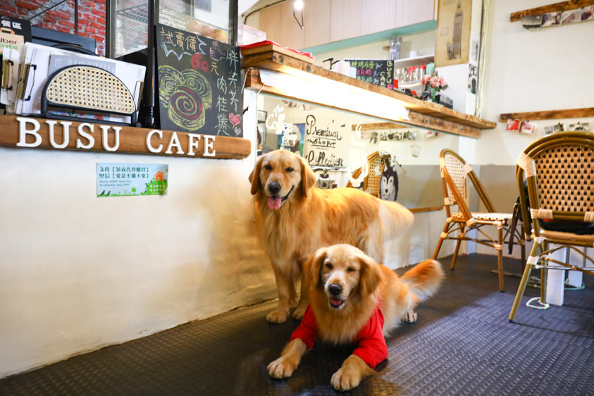 桃園大溪美食|丑咖啡BU-BU caf’e。老宅咖啡廳、寵物友善餐廳、早午餐鬆餅超美味 - 第8張圖 桃園大溪美食|丑咖啡BU-BU caf’e。老宅咖啡廳、寵物友善餐廳、早午餐鬆餅超美味