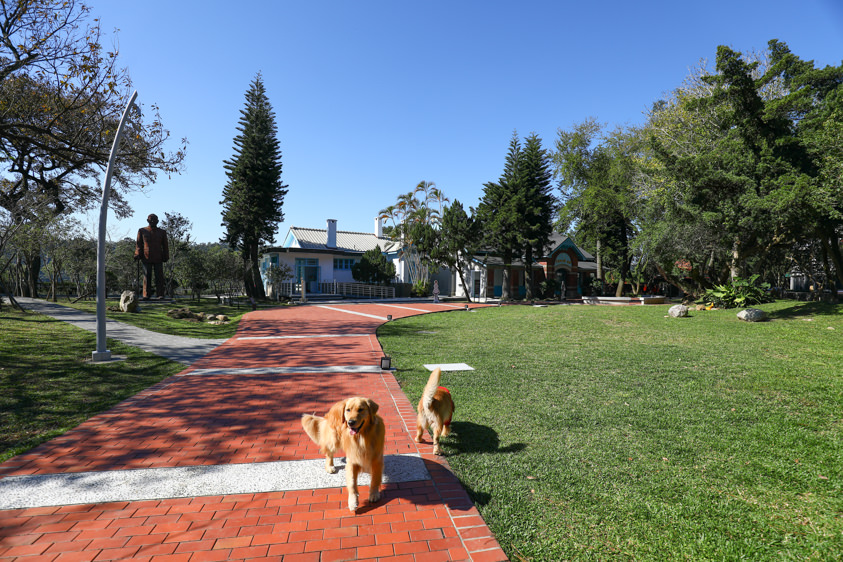 桃園大溪美食|丑咖啡BU-BU caf’e。老宅咖啡廳、寵物友善餐廳、早午餐鬆餅超美味 - 第22張圖 桃園大溪美食|丑咖啡BU-BU caf’e。老宅咖啡廳、寵物友善餐廳、早午餐鬆餅超美味