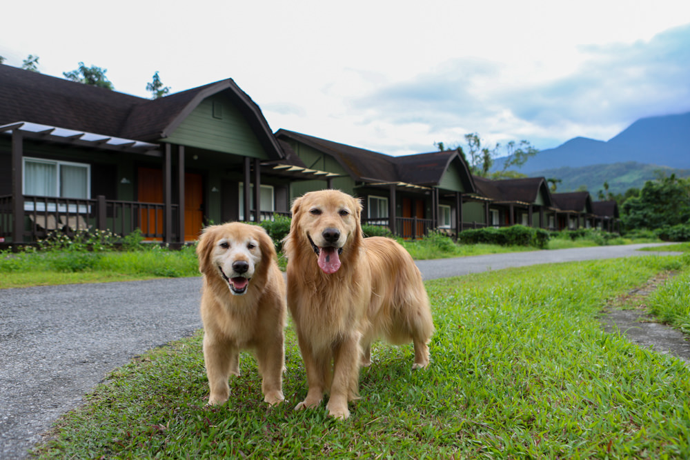 花蓮鳳林|丘丘‧森旅CHU Resort。寵物友善房、二子山溫泉、在地美食,享受被中央山脈環繞的療癒之旅 - 第32張圖 花蓮鳳林|丘丘‧森旅CHU Resort。寵物友善房、二子山溫泉、在地美食,享受被中央山脈環繞的療癒之旅