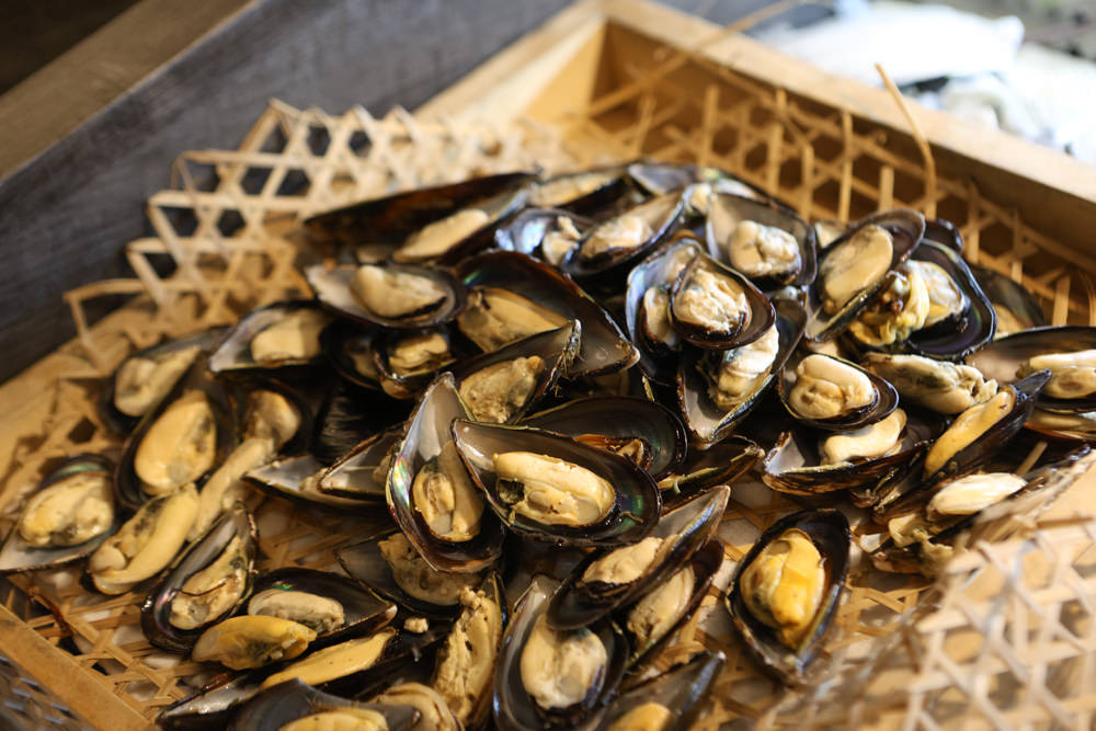 花蓮鳳林|丘丘‧森旅CHU Resort。寵物友善房、二子山溫泉、在地美食,享受被中央山脈環繞的療癒之旅 - 第80張圖 花蓮鳳林|丘丘‧森旅CHU Resort。寵物友善房、二子山溫泉、在地美食,享受被中央山脈環繞的療癒之旅