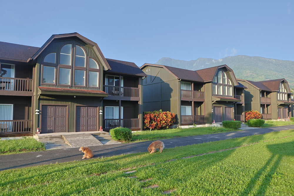 花蓮鳳林｜丘丘‧森旅CHU Resort。寵物友善房、二子山溫泉、在地美食，享受被中央山脈環繞的療癒之旅