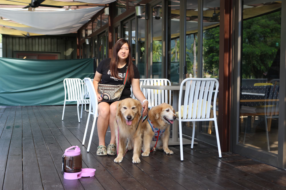 花蓮鳳林|丘丘‧森旅CHU Resort。寵物友善房、二子山溫泉、在地美食,享受被中央山脈環繞的療癒之旅 - 第95張圖 花蓮鳳林|丘丘‧森旅CHU Resort。寵物友善房、二子山溫泉、在地美食,享受被中央山脈環繞的療癒之旅