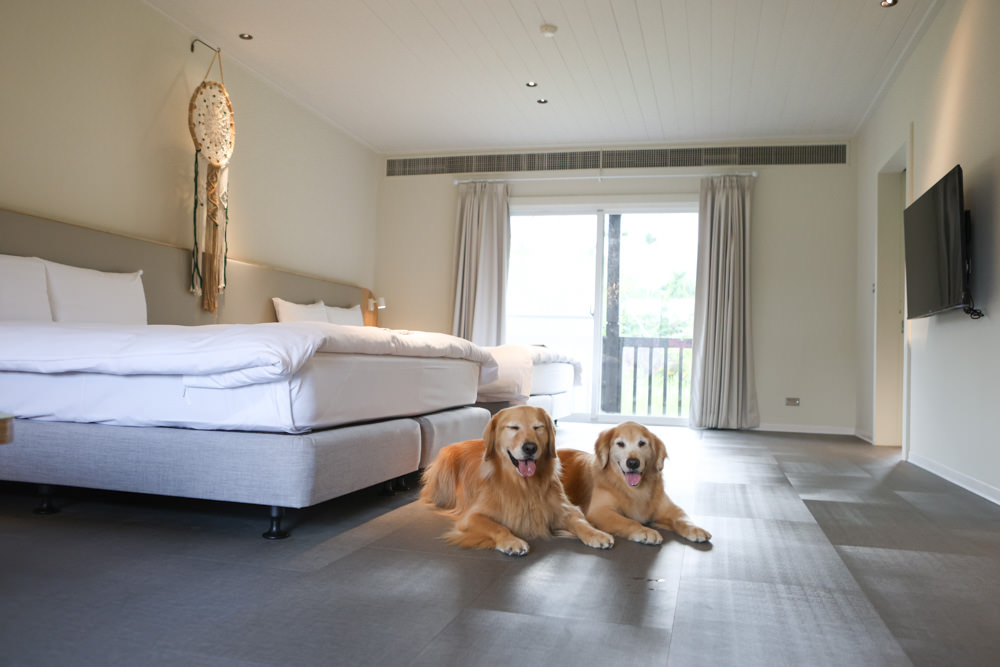 花蓮鳳林｜丘丘‧森旅CHU Resort。寵物友善房、二子山溫泉、在地美食，享受被中央山脈環繞的療癒之旅