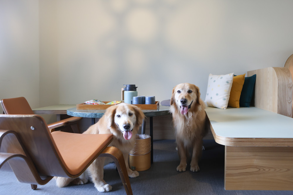 花蓮鳳林|丘丘‧森旅CHU Resort。寵物友善房、二子山溫泉、在地美食,享受被中央山脈環繞的療癒之旅 - 第45張圖 花蓮鳳林|丘丘‧森旅CHU Resort。寵物友善房、二子山溫泉、在地美食,享受被中央山脈環繞的療癒之旅