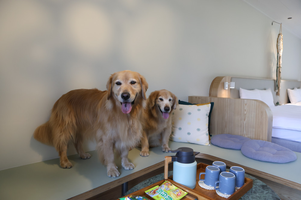 花蓮鳳林|丘丘‧森旅CHU Resort。寵物友善房、二子山溫泉、在地美食,享受被中央山脈環繞的療癒之旅 - 第47張圖 花蓮鳳林|丘丘‧森旅CHU Resort。寵物友善房、二子山溫泉、在地美食,享受被中央山脈環繞的療癒之旅