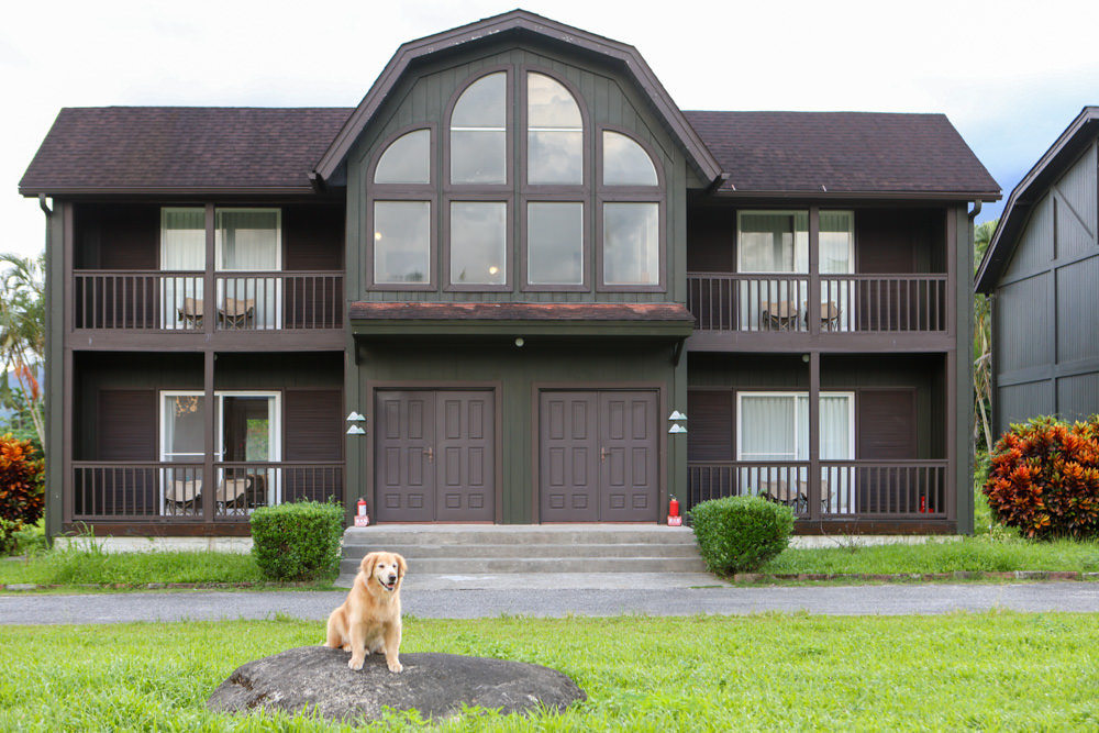 花蓮鳳林|丘丘‧森旅CHU Resort。寵物友善房、二子山溫泉、在地美食,享受被中央山脈環繞的療癒之旅 - 第42張圖 花蓮鳳林|丘丘‧森旅CHU Resort。寵物友善房、二子山溫泉、在地美食,享受被中央山脈環繞的療癒之旅