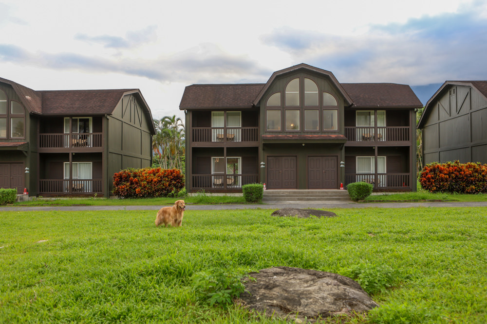 花蓮鳳林|丘丘‧森旅CHU Resort。寵物友善房、二子山溫泉、在地美食,享受被中央山脈環繞的療癒之旅 - 第38張圖 花蓮鳳林|丘丘‧森旅CHU Resort。寵物友善房、二子山溫泉、在地美食,享受被中央山脈環繞的療癒之旅