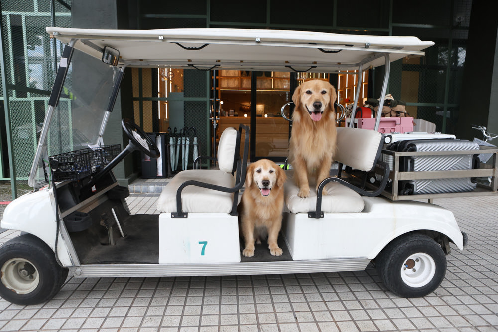花蓮鳳林|丘丘‧森旅CHU Resort。寵物友善房、二子山溫泉、在地美食,享受被中央山脈環繞的療癒之旅 - 第2張圖 花蓮鳳林|丘丘‧森旅CHU Resort。寵物友善房、二子山溫泉、在地美食,享受被中央山脈環繞的療癒之旅