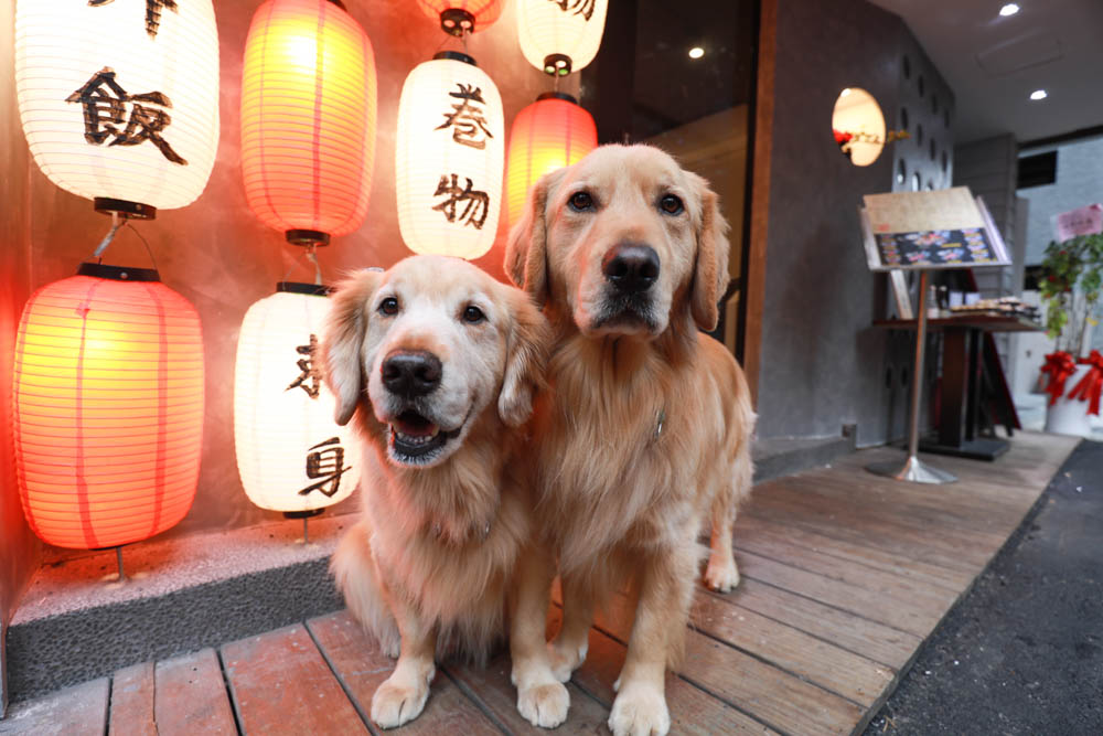 新北中和美食｜美術系壽司x烤滿分燒肉。中永和寵物友善餐廳、超澎湃個人日式燒肉、四號公園旁、永安市場捷運站
