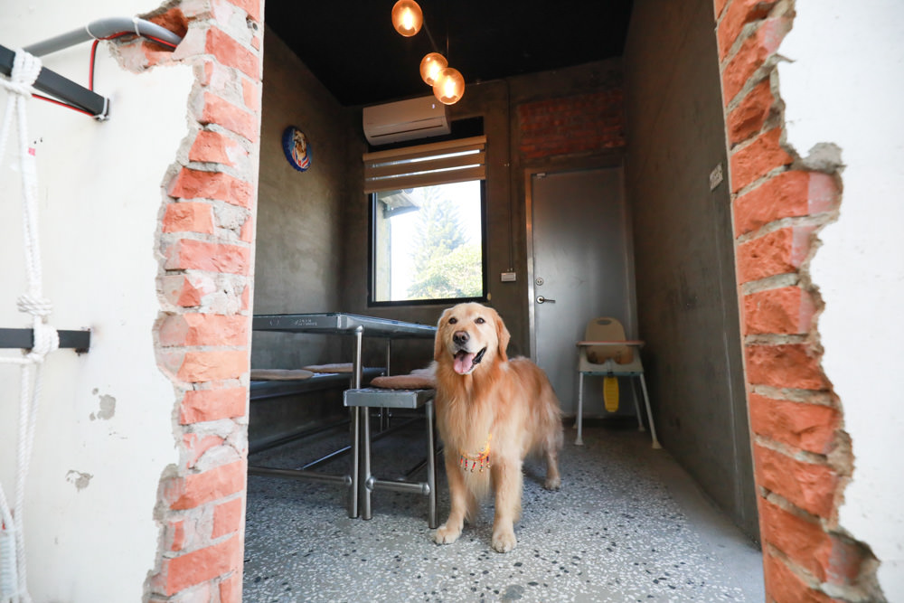 台南美食推薦|CREMA CAFÉ葵瑪咖啡。老宅咖啡廳中的寵物友善餐廳。寵物餐點、超人氣鳥巢布丁、 - 第10張圖 台南美食推薦|CREMA CAFÉ葵瑪咖啡。老宅咖啡廳中的寵物友善餐廳。寵物餐點、超人氣鳥巢布丁、