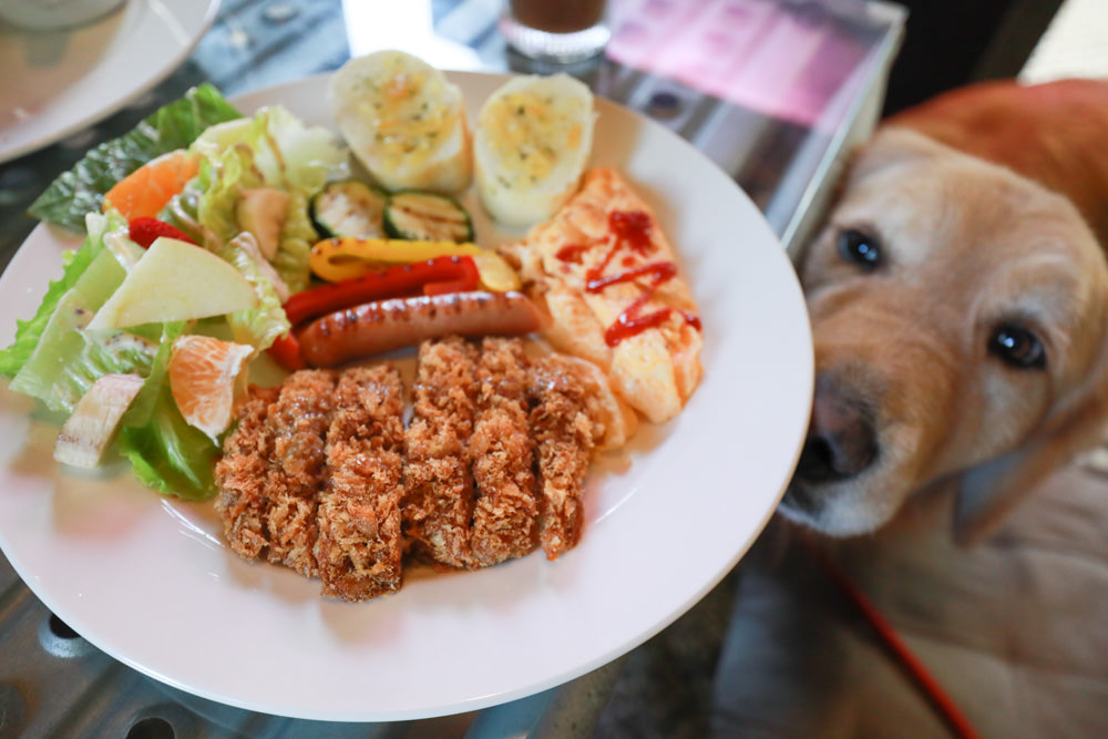 台南美食推薦|CREMA CAFÉ葵瑪咖啡。老宅咖啡廳中的寵物友善餐廳。寵物餐點、超人氣鳥巢布丁、 - 第20張圖 台南美食推薦|CREMA CAFÉ葵瑪咖啡。老宅咖啡廳中的寵物友善餐廳。寵物餐點、超人氣鳥巢布丁、