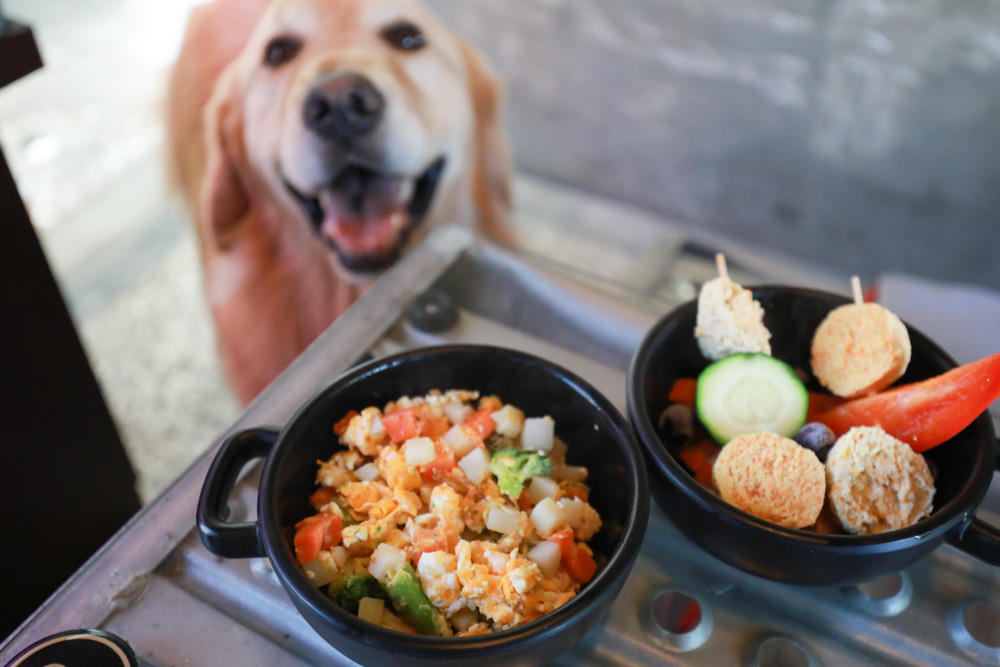 台南美食推薦|CREMA CAFÉ葵瑪咖啡。老宅咖啡廳中的寵物友善餐廳。寵物餐點、超人氣鳥巢布丁、 - 第21張圖 台南美食推薦|CREMA CAFÉ葵瑪咖啡。老宅咖啡廳中的寵物友善餐廳。寵物餐點、超人氣鳥巢布丁、