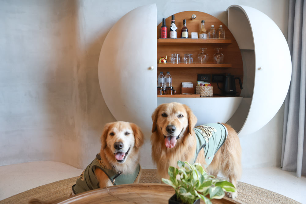 宜蘭礁溪｜了了礁溪 VIVIR JiaoXi。一泊二食、礁溪泡湯溫泉飯店、不定期推出寵物限定旺旺日