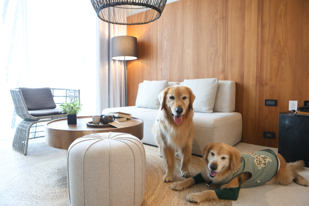 宜蘭礁溪｜了了礁溪 VIVIR JiaoXi。一泊二食、礁溪泡湯溫泉飯店、不定期推出寵物限定旺旺日