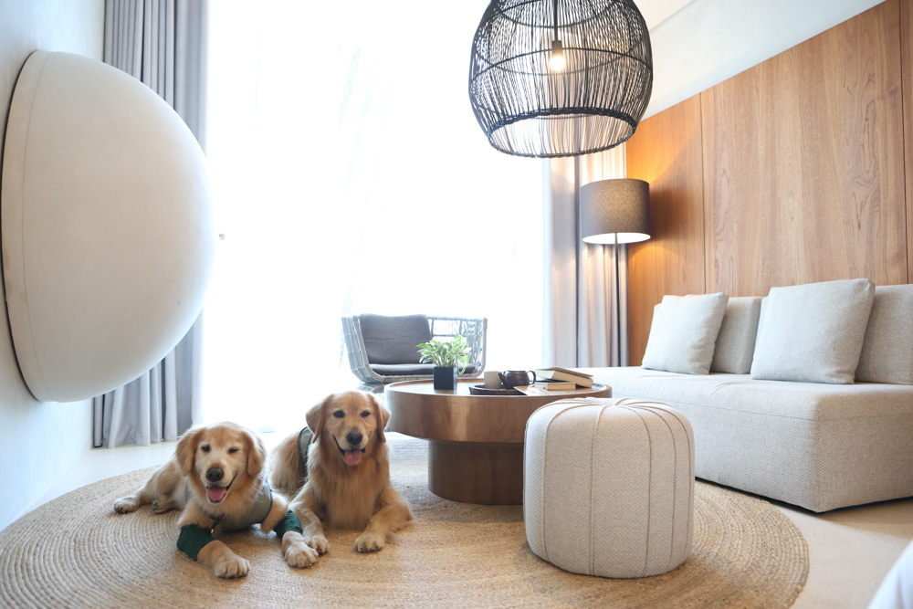 宜蘭礁溪｜了了礁溪 VIVIR JiaoXi。一泊二食、礁溪泡湯溫泉飯店、不定期推出寵物限定旺旺日