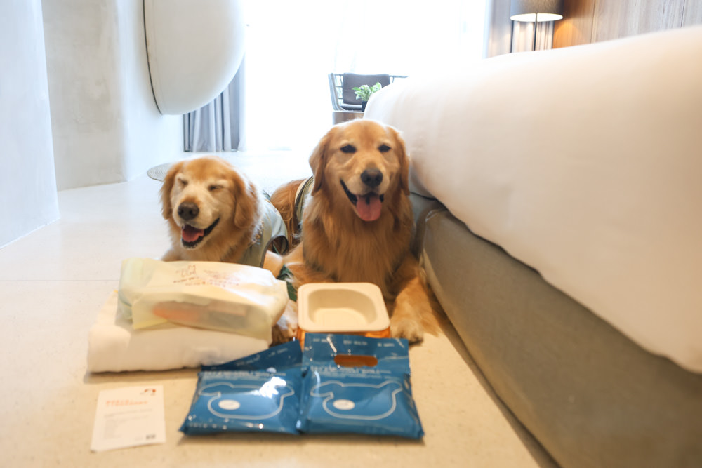 宜蘭礁溪｜了了礁溪 VIVIR JiaoXi。一泊二食、礁溪泡湯溫泉飯店、不定期推出寵物限定旺旺日