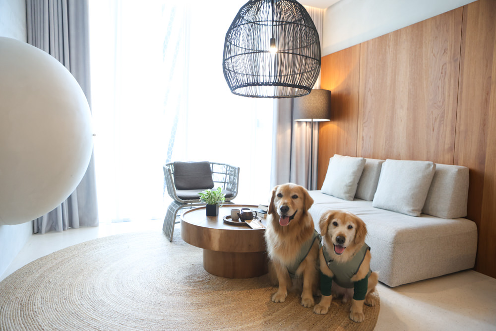 宜蘭礁溪｜了了礁溪 VIVIR JiaoXi。一泊二食、礁溪泡湯溫泉飯店、不定期推出寵物限定旺旺日