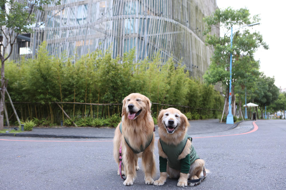 宜蘭礁溪｜了了礁溪 VIVIR JiaoXi。一泊二食、礁溪泡湯溫泉飯店、不定期推出寵物限定旺旺日