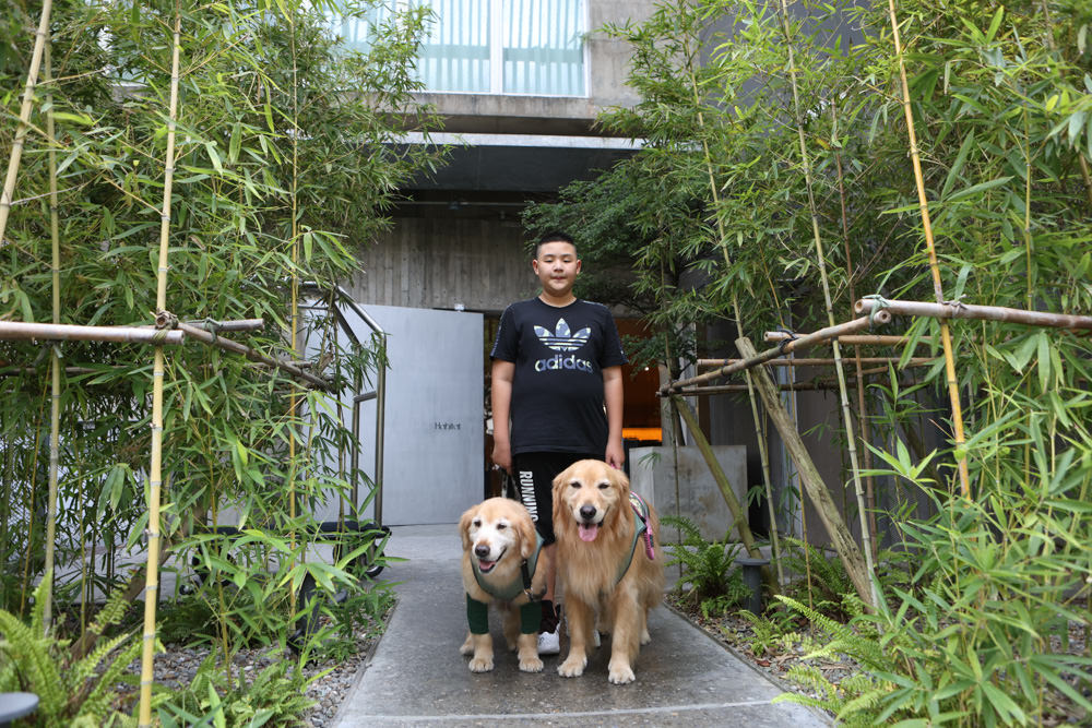 宜蘭礁溪｜了了礁溪 VIVIR JiaoXi。一泊二食、礁溪泡湯溫泉飯店、不定期推出寵物限定旺旺日