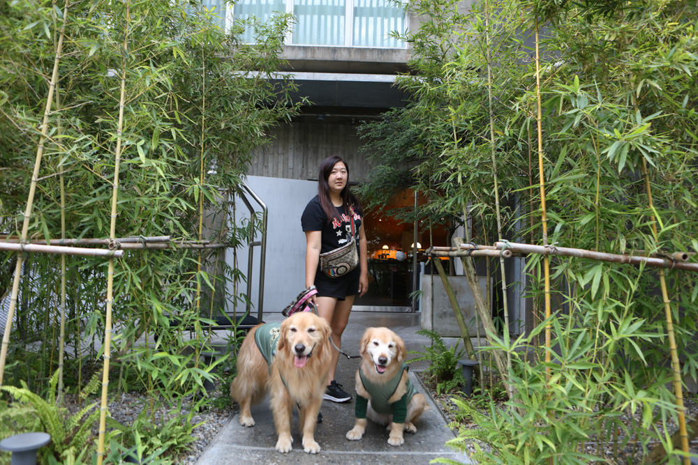 宜蘭礁溪｜了了礁溪 VIVIR JiaoXi。一泊二食、礁溪泡湯溫泉飯店、不定期推出寵物限定旺旺日