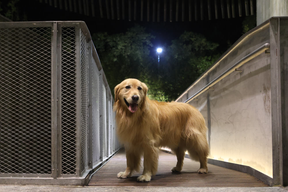 宜蘭礁溪｜了了礁溪 VIVIR JiaoXi。一泊二食、礁溪泡湯溫泉飯店、不定期推出寵物限定旺旺日