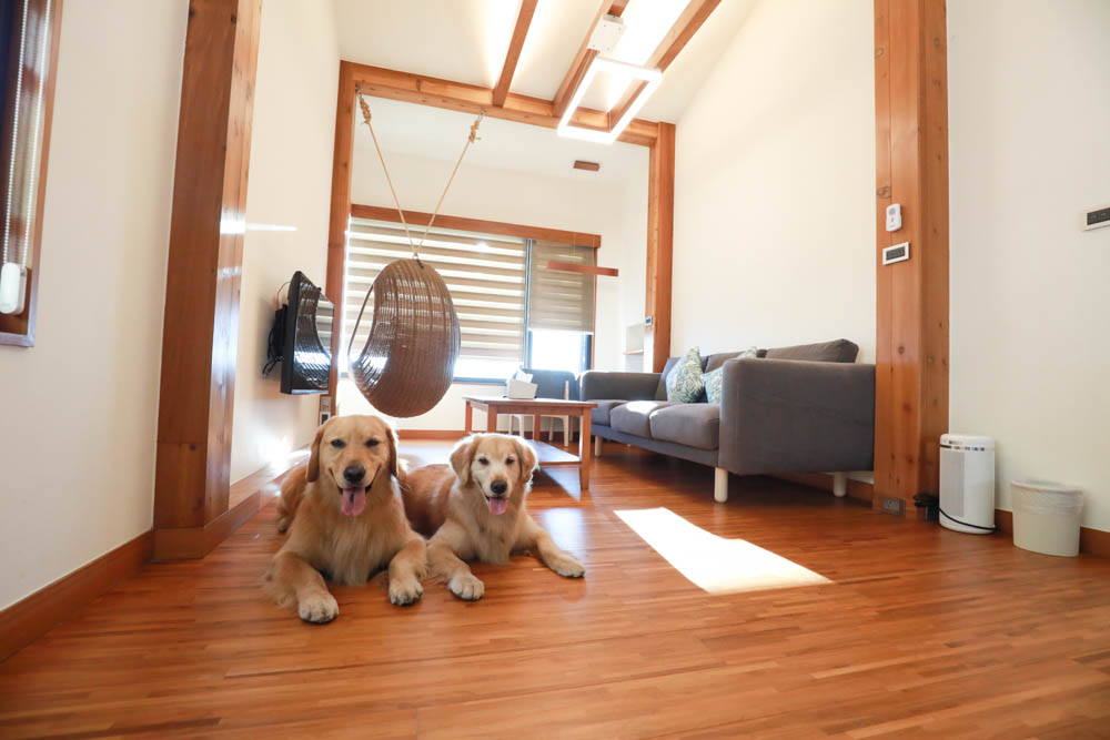 南投清境絕景民宿|五里坡民宿5KM Villa。清境寵物友善民宿、碧湖湖景絕美山居、療癒系日落、一泊二食(下午茶、早餐) - 第10張圖 南投清境絕景民宿|五里坡民宿5KM Villa。清境寵物友善民宿、碧湖湖景絕美山居、療癒系日落、一泊二食(下午茶、早餐)