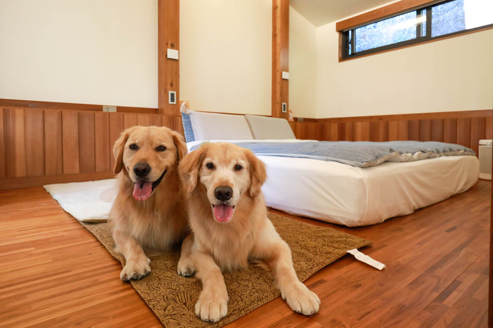 南投清境絕景民宿|五里坡民宿5KM Villa。清境寵物友善民宿、碧湖湖景絕美山居、療癒系日落、一泊二食(下午茶、早餐) - 第14張圖 南投清境絕景民宿|五里坡民宿5KM Villa。清境寵物友善民宿、碧湖湖景絕美山居、療癒系日落、一泊二食(下午茶、早餐)