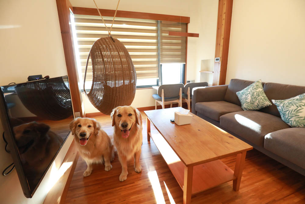 南投清境絕景民宿|五里坡民宿5KM Villa。清境寵物友善民宿、碧湖湖景絕美山居、療癒系日落、一泊二食(下午茶、早餐) - 第11張圖 南投清境絕景民宿|五里坡民宿5KM Villa。清境寵物友善民宿、碧湖湖景絕美山居、療癒系日落、一泊二食(下午茶、早餐)