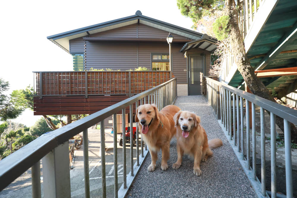 南投清境絕景民宿|五里坡民宿5KM Villa。清境寵物友善民宿、碧湖湖景絕美山居、療癒系日落、一泊二食(下午茶、早餐) - 第8張圖 南投清境絕景民宿|五里坡民宿5KM Villa。清境寵物友善民宿、碧湖湖景絕美山居、療癒系日落、一泊二食(下午茶、早餐)
