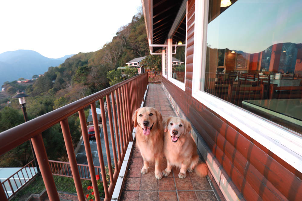 南投清境絕景民宿|五里坡民宿5KM Villa。清境寵物友善民宿、碧湖湖景絕美山居、療癒系日落、一泊二食(下午茶、早餐) - 第50張圖 南投清境絕景民宿|五里坡民宿5KM Villa。清境寵物友善民宿、碧湖湖景絕美山居、療癒系日落、一泊二食(下午茶、早餐)