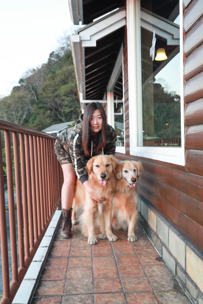 南投清境絕景民宿|五里坡民宿5KM Villa。清境寵物友善民宿、碧湖湖景絕美山居、療癒系日落、一泊二食(下午茶、早餐) - 第51張圖 南投清境絕景民宿|五里坡民宿5KM Villa。清境寵物友善民宿、碧湖湖景絕美山居、療癒系日落、一泊二食(下午茶、早餐)