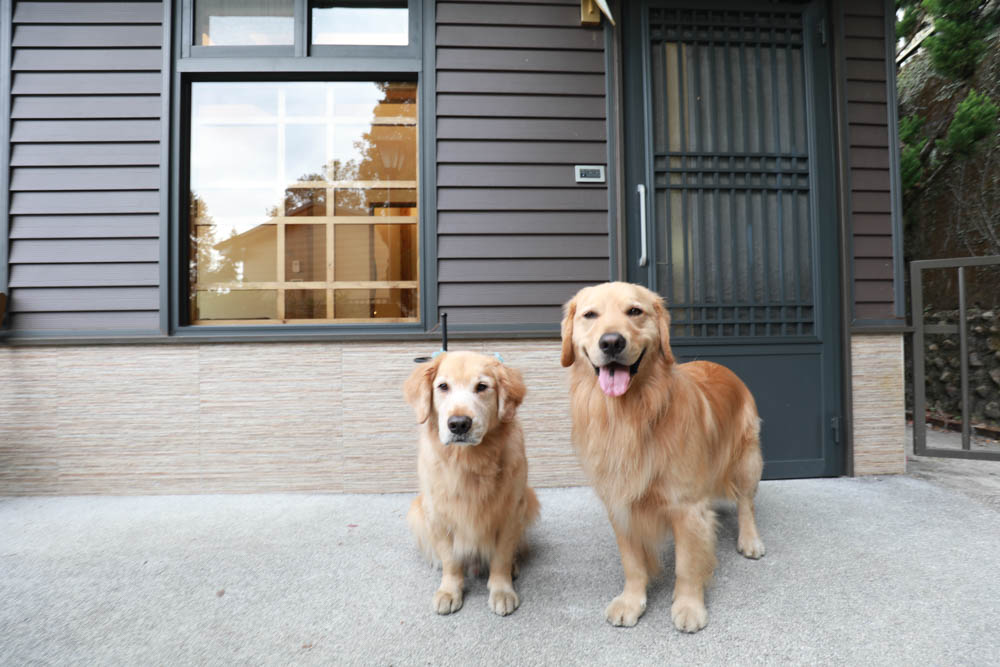 南投清境絕景民宿|五里坡民宿5KM Villa。清境寵物友善民宿、碧湖湖景絕美山居、療癒系日落、一泊二食(下午茶、早餐) - 第6張圖 南投清境絕景民宿|五里坡民宿5KM Villa。清境寵物友善民宿、碧湖湖景絕美山居、療癒系日落、一泊二食(下午茶、早餐)