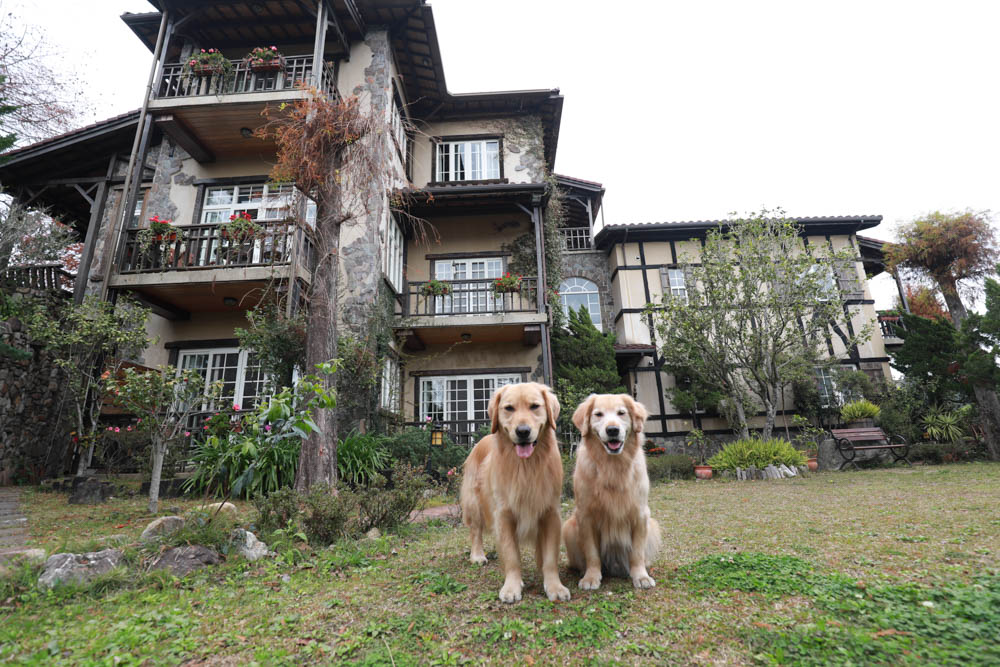清境來福居玻璃屋景觀餐廳|清境寵物友善餐廳、南投清境美食、絕美玻璃屋、精緻無菜單料理、來福居民宿 - 第3張圖 清境來福居玻璃屋景觀餐廳|清境寵物友善餐廳、南投清境美食、絕美玻璃屋、精緻無菜單料理、來福居民宿