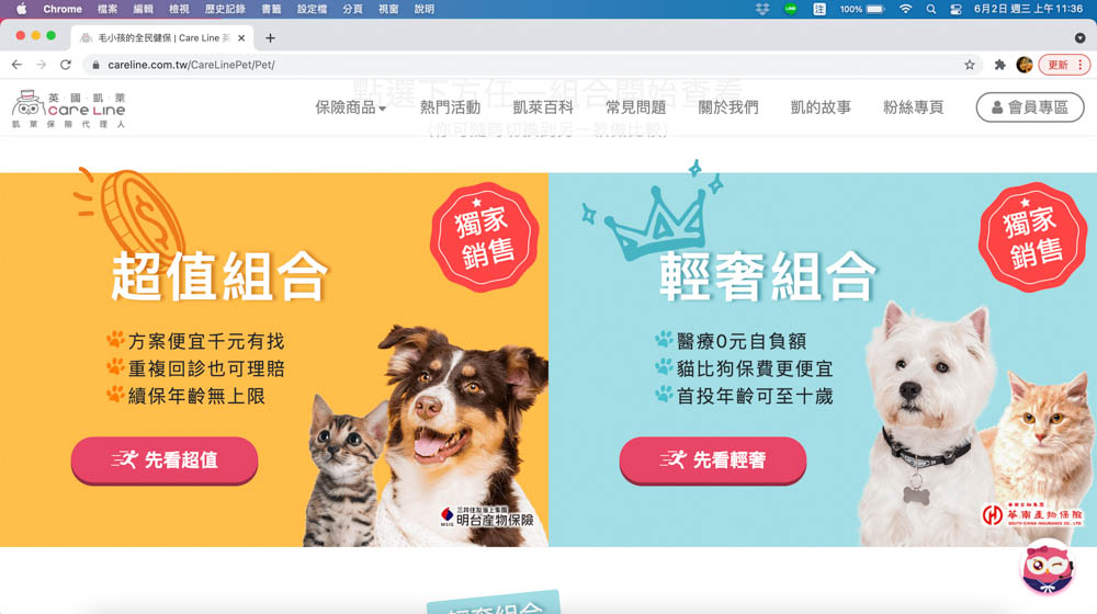 英國凱萊寵物險｜寵物全方位健康保險。最完善保障毛小孩、續保年齡無上限、安心用心呵護！
