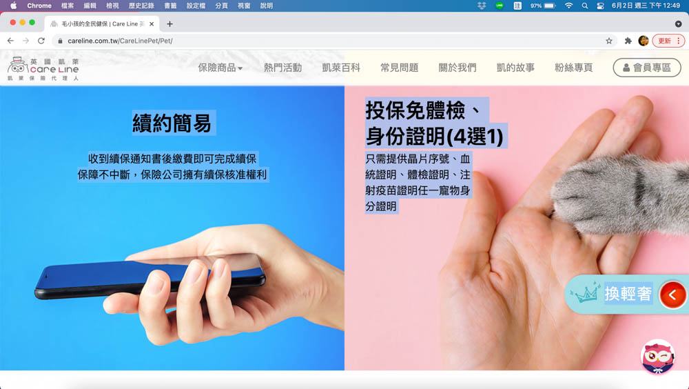 英國凱萊寵物險｜寵物全方位健康保險。最完善保障毛小孩、續保年齡無上限、安心用心呵護！