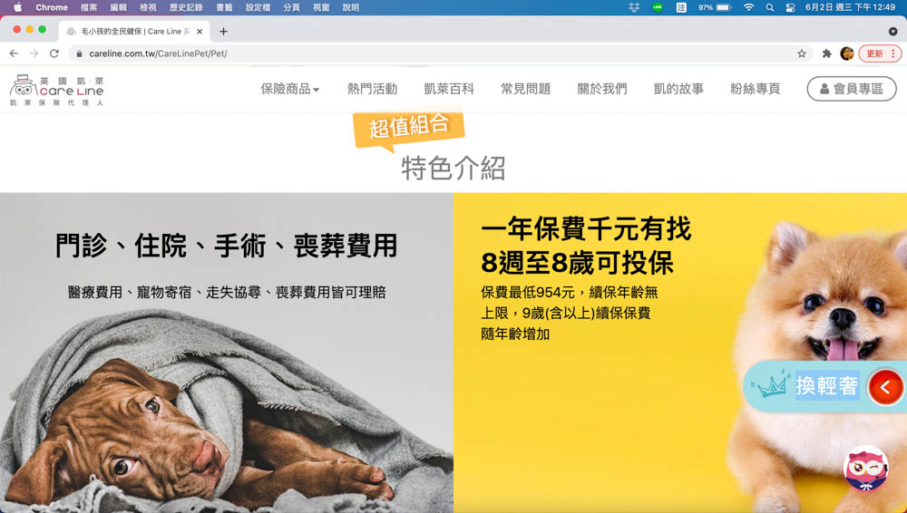 英國凱萊寵物險｜寵物全方位健康保險。最完善保障毛小孩、續保年齡無上限、安心用心呵護！