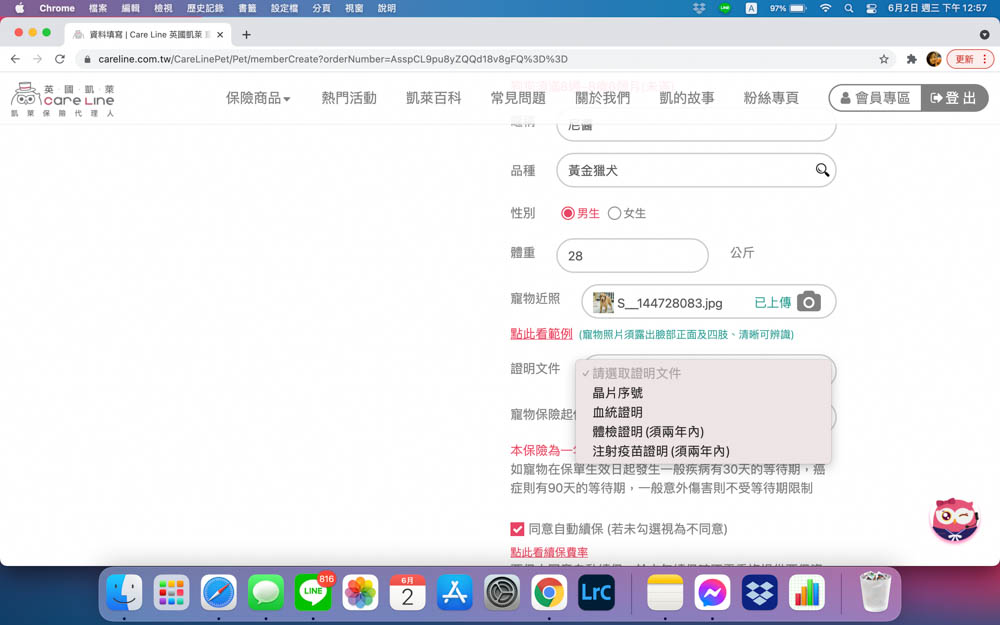 英國凱萊寵物險｜寵物全方位健康保險。最完善保障毛小孩、續保年齡無上限、安心用心呵護！