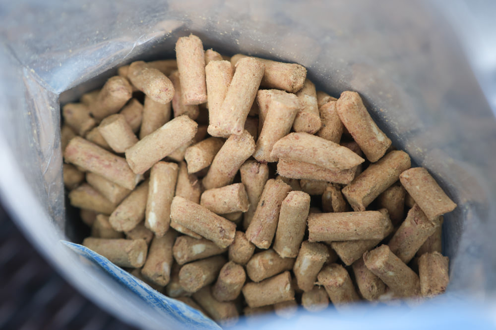 寵物凍乾主食、凍乾零食|Bailey+Co倍立天然犬貓優質凍乾乾糧、優質凍乾零食、犬用凍乾關節保養粉。紐西蘭原裝進口(草飼羊肉、草飼牛肉、草飼羊肝、帝王鮭魚、綠唇貽貝、藍鱈魚、鳳尾魚) - 第8張圖 寵物凍乾主食、凍乾零食|Bailey+Co倍立天然犬貓優質凍乾乾糧、優質凍乾零食、犬用凍乾關節保養粉。紐西蘭原裝進口(草飼羊肉、草飼牛肉、草飼羊肝、帝王鮭魚、綠唇貽貝、藍鱈魚、鳳尾魚)