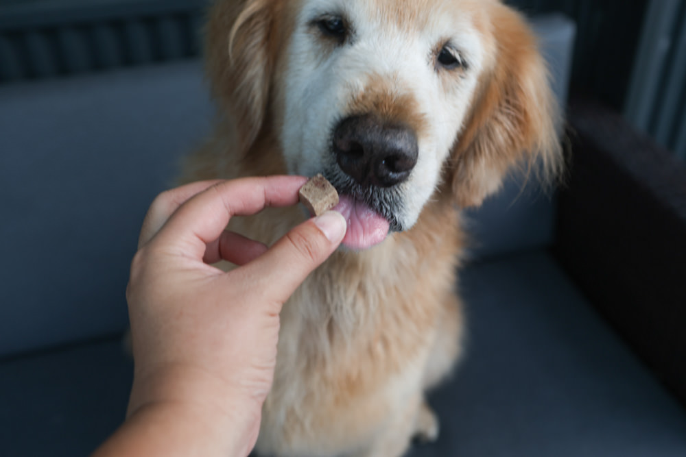 寵物凍乾主食、凍乾零食|Bailey+Co倍立天然犬貓優質凍乾乾糧、優質凍乾零食、犬用凍乾關節保養粉。紐西蘭原裝進口(草飼羊肉、草飼牛肉、草飼羊肝、帝王鮭魚、綠唇貽貝、藍鱈魚、鳳尾魚) - 第17張圖 寵物凍乾主食、凍乾零食|Bailey+Co倍立天然犬貓優質凍乾乾糧、優質凍乾零食、犬用凍乾關節保養粉。紐西蘭原裝進口(草飼羊肉、草飼牛肉、草飼羊肝、帝王鮭魚、綠唇貽貝、藍鱈魚、鳳尾魚)