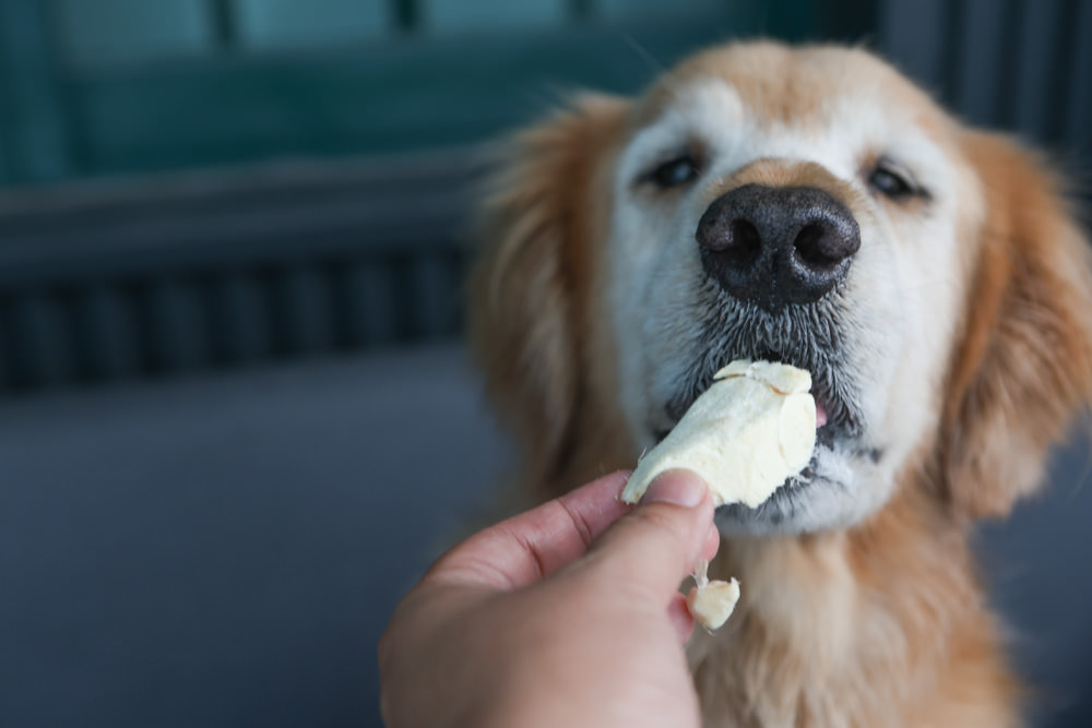 寵物凍乾主食、凍乾零食｜Bailey+Co倍立天然犬貓優質凍乾乾糧、優質凍乾零食、犬用凍乾關節保養粉。紐西蘭原裝進口（草飼羊肉、草飼牛肉、草飼羊肝、帝王鮭魚、綠唇貽貝、藍鱈魚、鳳尾魚）
