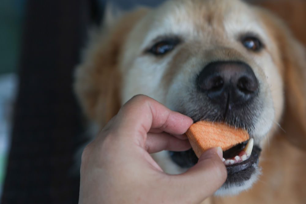 寵物凍乾主食、凍乾零食|Bailey+Co倍立天然犬貓優質凍乾乾糧、優質凍乾零食、犬用凍乾關節保養粉。紐西蘭原裝進口(草飼羊肉、草飼牛肉、草飼羊肝、帝王鮭魚、綠唇貽貝、藍鱈魚、鳳尾魚) - 第23張圖 寵物凍乾主食、凍乾零食|Bailey+Co倍立天然犬貓優質凍乾乾糧、優質凍乾零食、犬用凍乾關節保養粉。紐西蘭原裝進口(草飼羊肉、草飼牛肉、草飼羊肝、帝王鮭魚、綠唇貽貝、藍鱈魚、鳳尾魚)