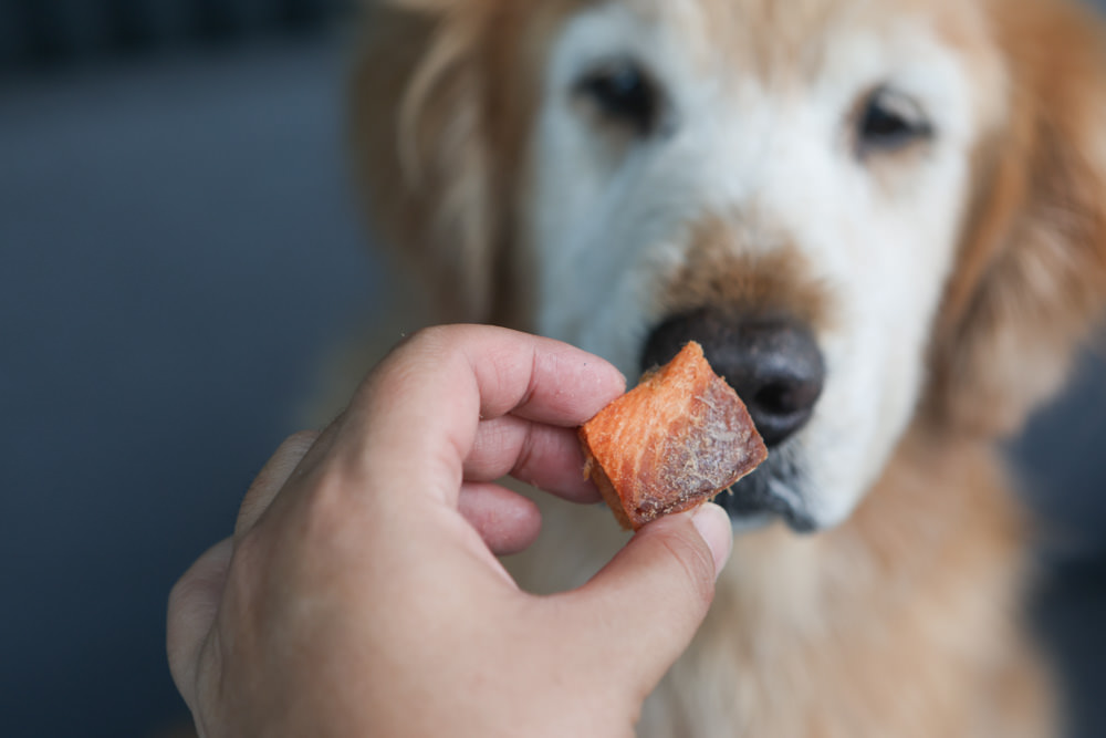 寵物凍乾主食、凍乾零食|Bailey+Co倍立天然犬貓優質凍乾乾糧、優質凍乾零食、犬用凍乾關節保養粉。紐西蘭原裝進口(草飼羊肉、草飼牛肉、草飼羊肝、帝王鮭魚、綠唇貽貝、藍鱈魚、鳳尾魚) - 第21張圖 寵物凍乾主食、凍乾零食|Bailey+Co倍立天然犬貓優質凍乾乾糧、優質凍乾零食、犬用凍乾關節保養粉。紐西蘭原裝進口(草飼羊肉、草飼牛肉、草飼羊肝、帝王鮭魚、綠唇貽貝、藍鱈魚、鳳尾魚)
