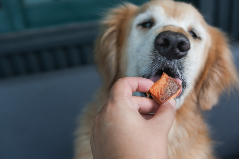 寵物凍乾主食、凍乾零食|Bailey+Co倍立天然犬貓優質凍乾乾糧、優質凍乾零食、犬用凍乾關節保養粉。紐西蘭原裝進口(草飼羊肉、草飼牛肉、草飼羊肝、帝王鮭魚、綠唇貽貝、藍鱈魚、鳳尾魚) - 第24張圖 寵物凍乾主食、凍乾零食|Bailey+Co倍立天然犬貓優質凍乾乾糧、優質凍乾零食、犬用凍乾關節保養粉。紐西蘭原裝進口(草飼羊肉、草飼牛肉、草飼羊肝、帝王鮭魚、綠唇貽貝、藍鱈魚、鳳尾魚)